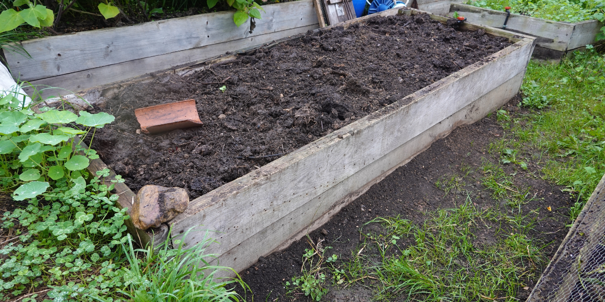 Raised Beds